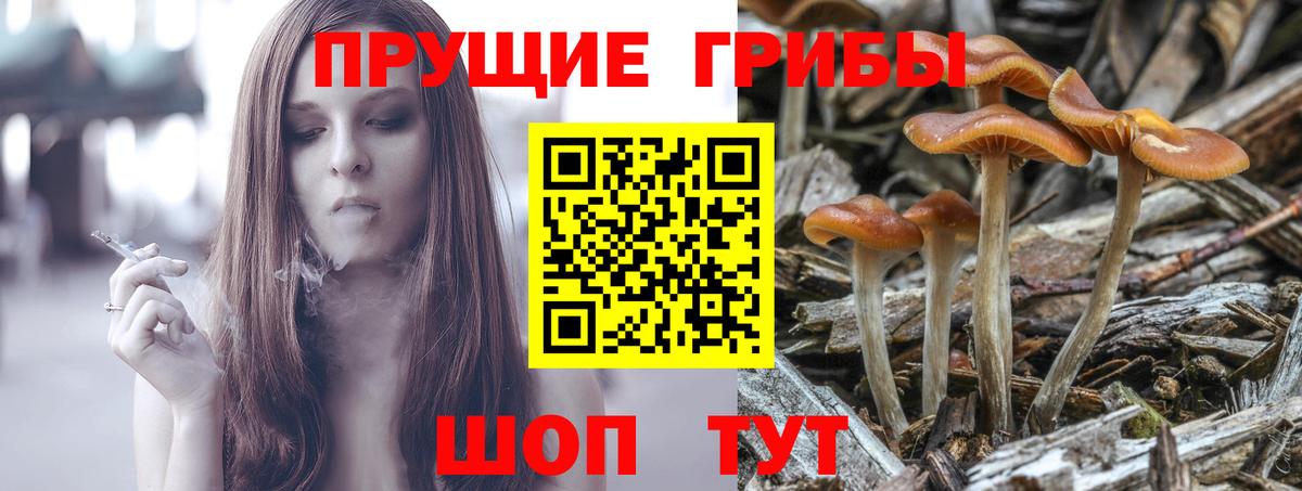 Псилоцибиновые грибы Magic Shrooms  Галлюциногенные грибы ЛСД  Владивосток  Вход с VPN 
